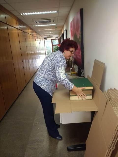 Rita montando caixa Diário Oficial.jpg