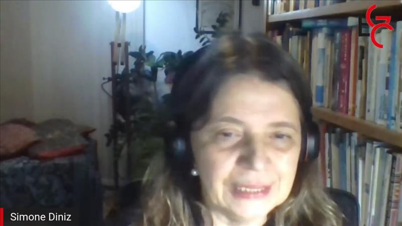 Simone Diniz (professora da USP)