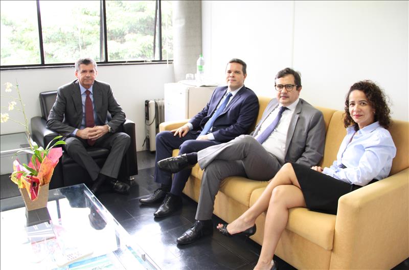 A conversa tratou de aproximações entre a EGC, o IRB e os comitês do Instituto